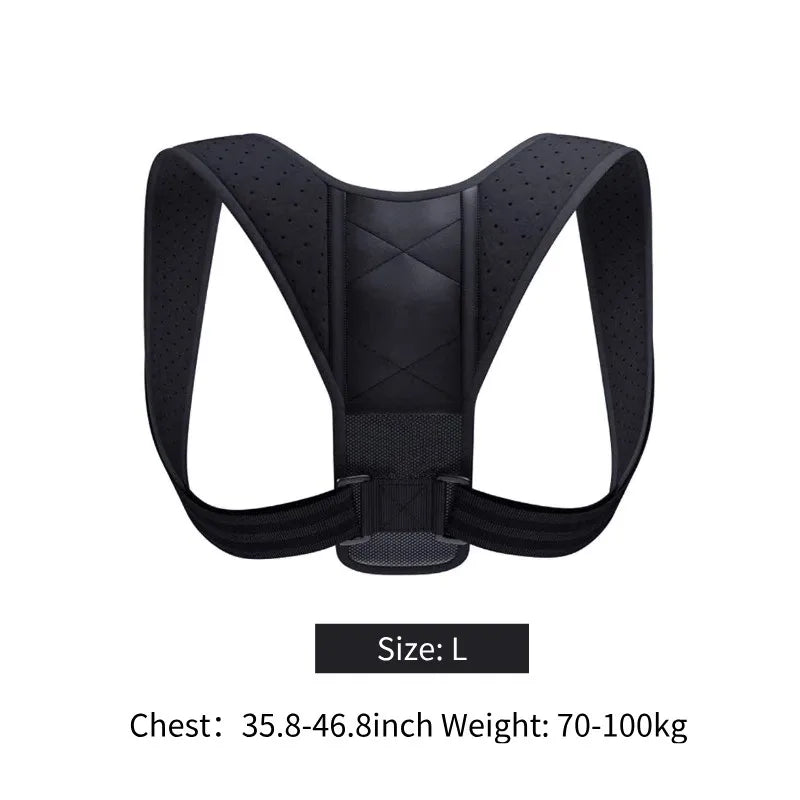 Posture Belt