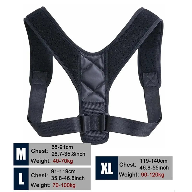 Posture Belt