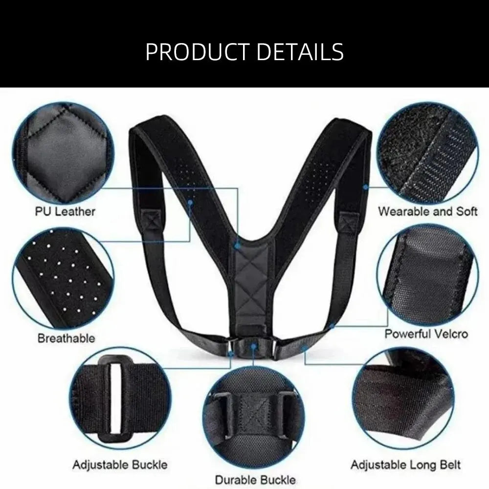 Posture Belt